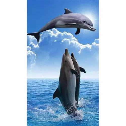 Diamantové malování diamantový obraz delfíny a moře