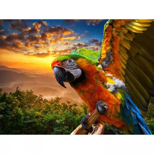 Diamantové malování diamantový-obraz papoušek západ slunce