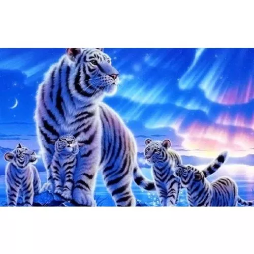 Diamantové malování diamantový obraz sibiřský tygr mládě