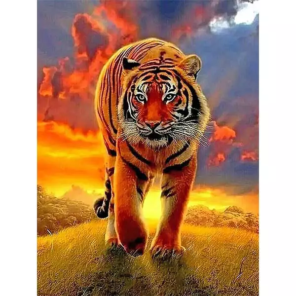 Diamantové malování diamantový obraz tygr západ slunce