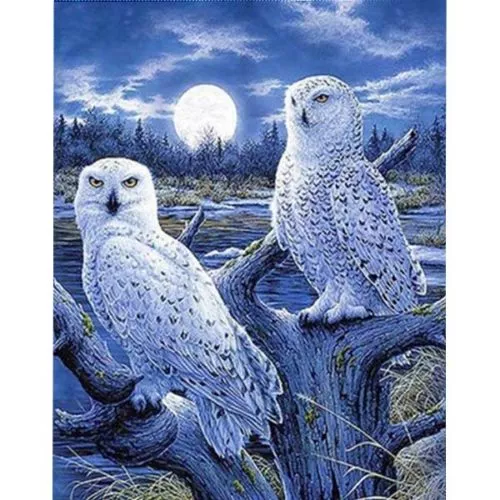 Diamantové-malování-sněžné-sovy