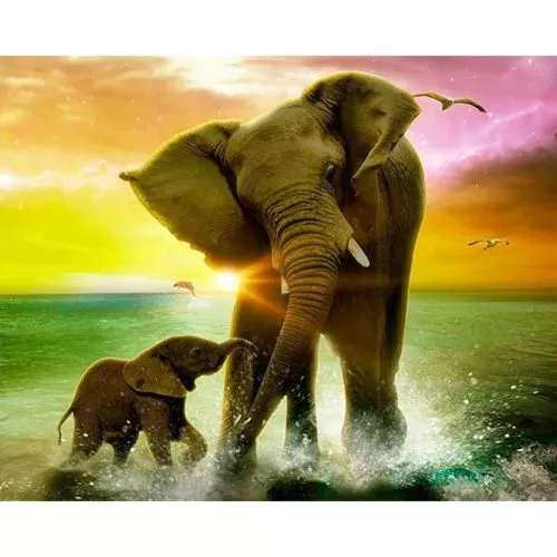 Diamantové-malování-slony-voda