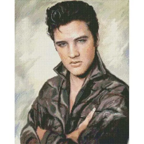 Diamantové-malování-Portrét-Elvis.-obraz
